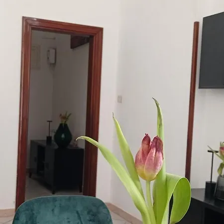 Rudiae Palace In * Lecce